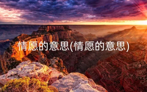 情愿的意思(情愿的意思)